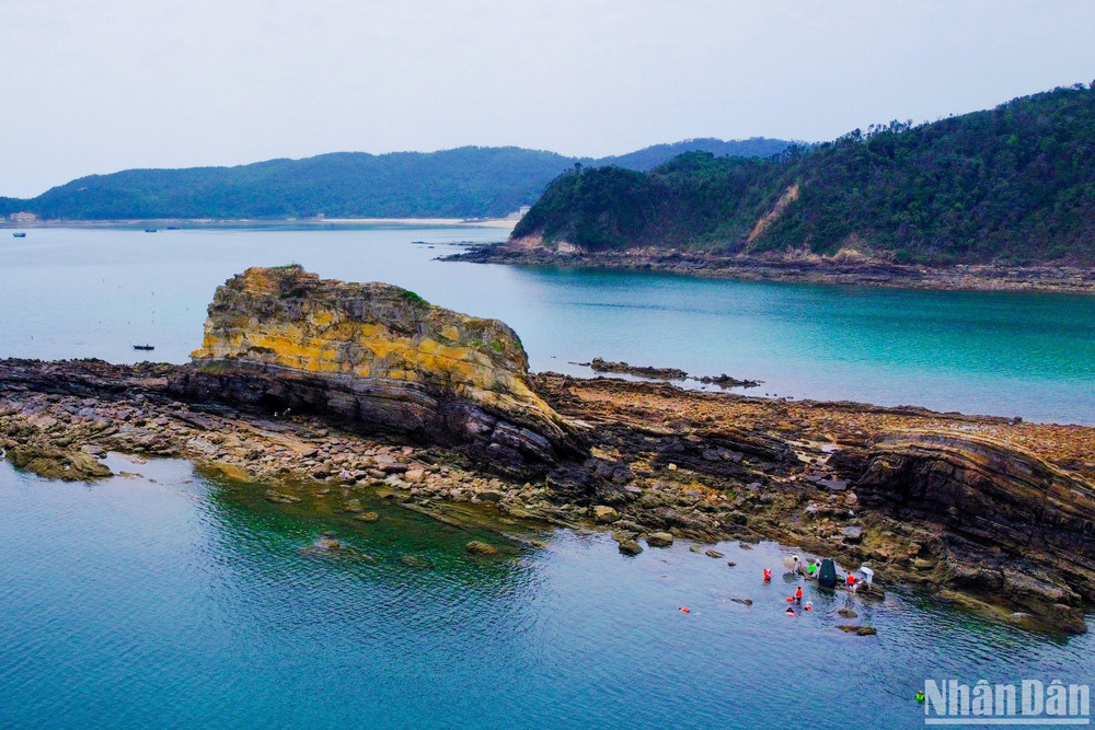 Du khách đi tàu ra đảo nhỏ giữa biển để ngắm chim trời, cá nước và được hướng dẫn viên cung cấp dụng cụ câu cá. Du khách đi tàu ra đảo nhỏ giữa biển để ngắm chim trời, cá nước và được hướng dẫn viên cung cấp dụng cụ câu cá.