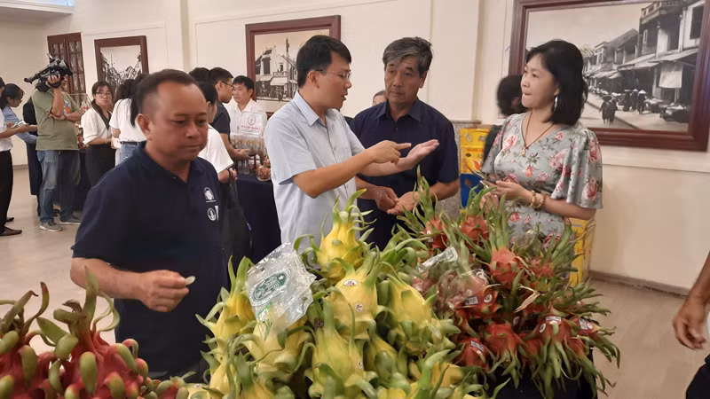 Đại biểu tham quan trái thanh long trưng bày tại hội nghị