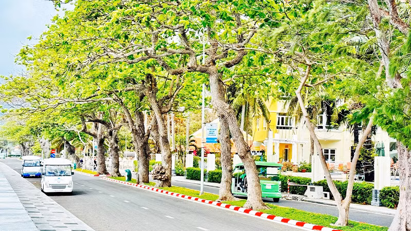 Côn Đảo hôm nay trở thành điểm đến du lịch hấp dẫn.