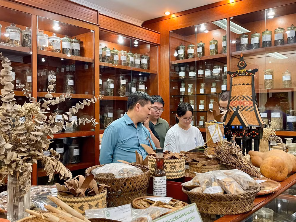 Học sinh được hướng dẫn tìm hiểu về các loài cây thuốc, dược liệu được sử dụng trong cộng đồng các dân tộc ở Việt Nam.
