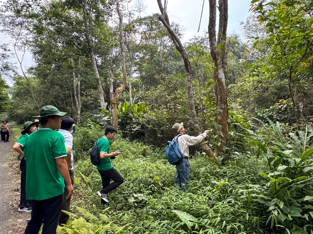 Các cán bộ Trung tâm Tài nguyên dược liệu tìm hiểu đa dạng sinh học của vườn cây thuốc.
