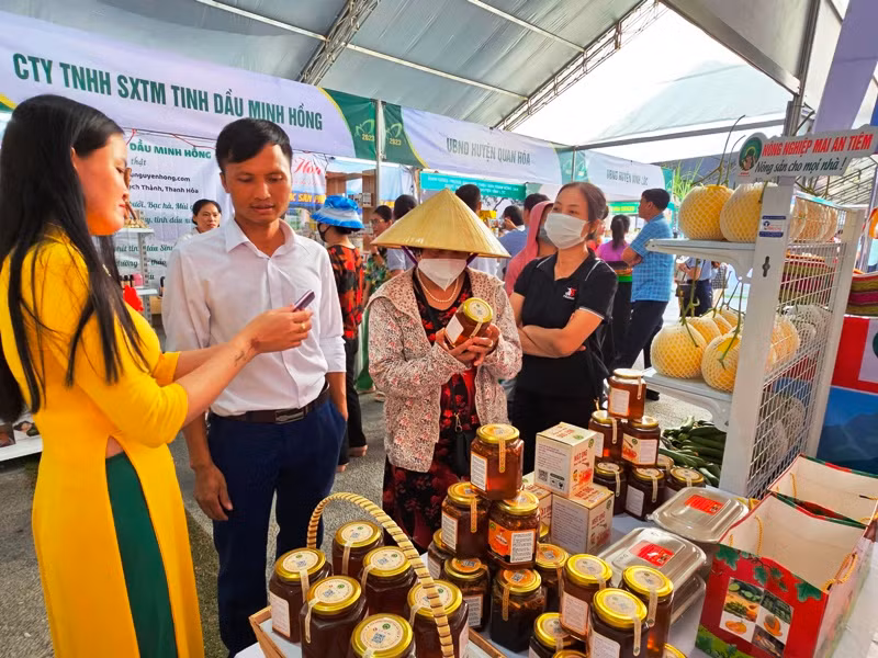 Sản phẩm nông nghiệp Mai An Tiêm ở huyện Nga Sơn hấp dẫn người tiêu dùng.