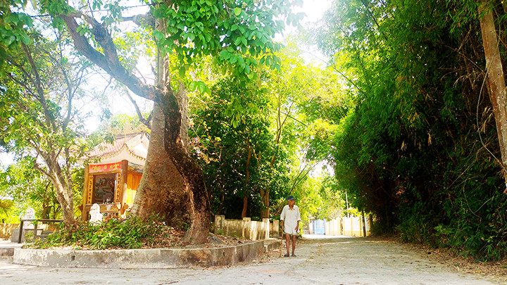 Góc làng Phong Lệ hôm nay. 