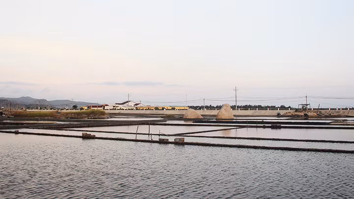 Bên đồng muối chiều buông