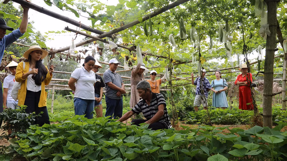 Đoàn khách du lịch học tập, nghiên cứu tại các hộ dân.