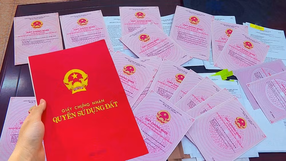 Ảnh minh họa. (Nguồn: Chinhphu.vn)