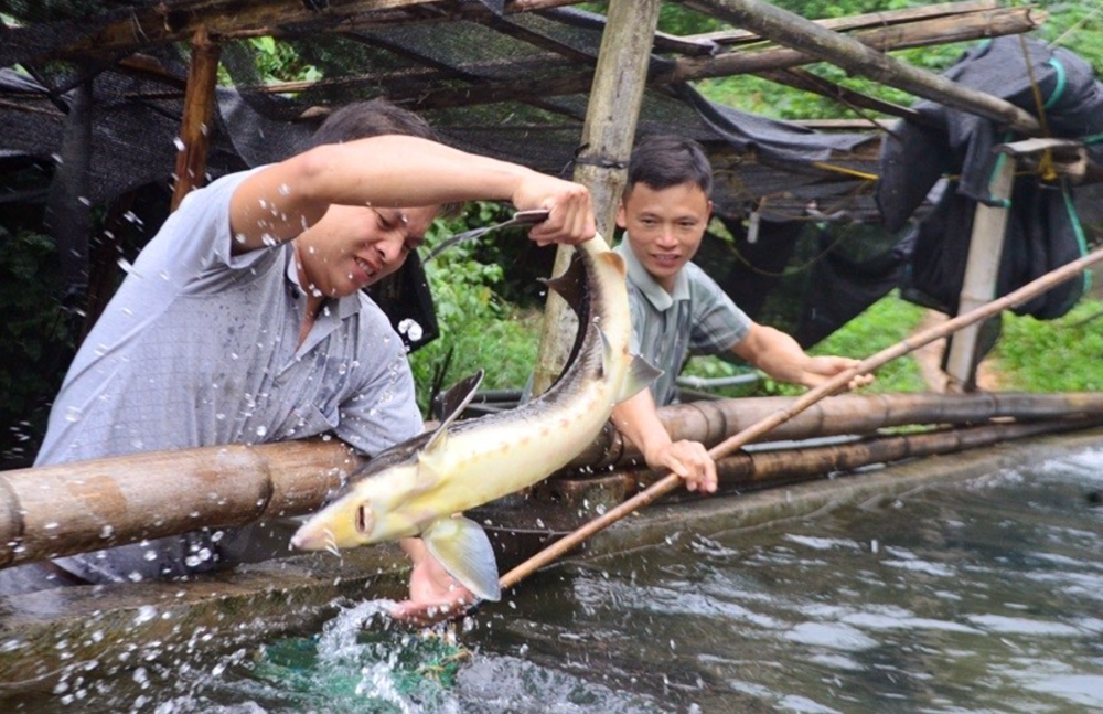 Ảnh: Báo Dân tộc và phát triển