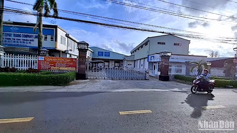 Công ty Thuận Đức, đơn vị xả thải trái phép vừa bị Uỷ ban nhân dân tỉnh Cà Mau phạt hơn 2 tỷ đồng. 