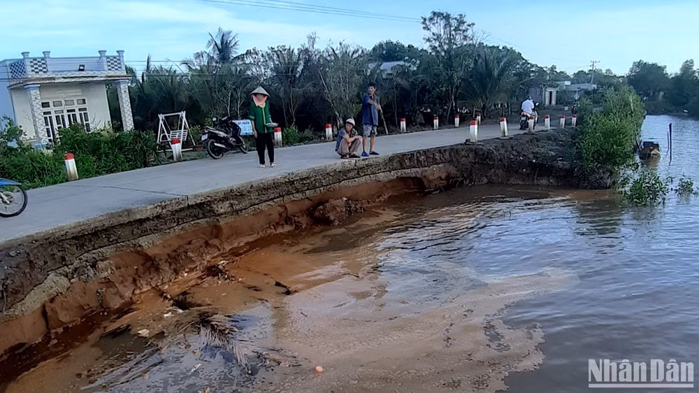 Hiện trường vụ sạt lở làm hư hỏng đường ô-tô trên địa bàn huyện Đầm Dơi vào rạng sáng 22/5.