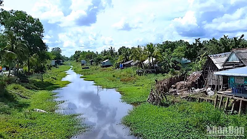 Một tuyến kênh ở vùng ngọt huyện Trần Văn Thời đang khô cạn dần theo nắng hạn.