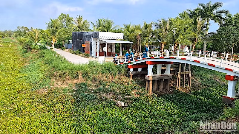 Kênh rạch vùng ngọt huyện Trần Văn Thời (tỉnh Cà Mau) khô cạn nước vì hạn hán.