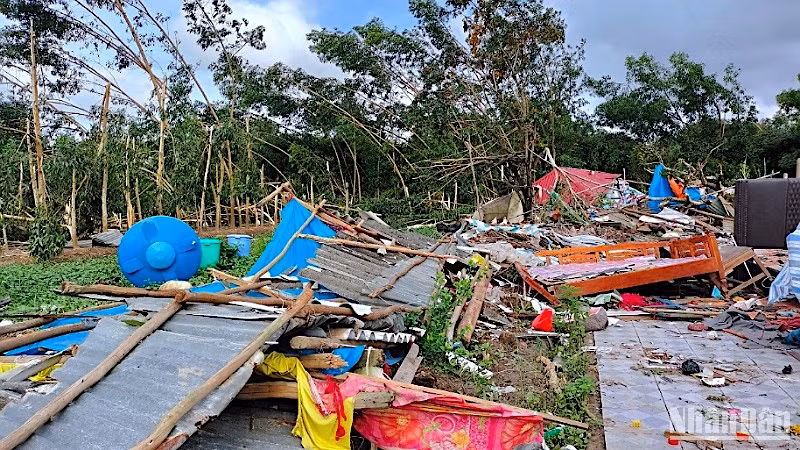 Nhà dân vùng nông thôn huyện U Minh, tỉnh Cà Mau bị sập, đổ do dông lốc.