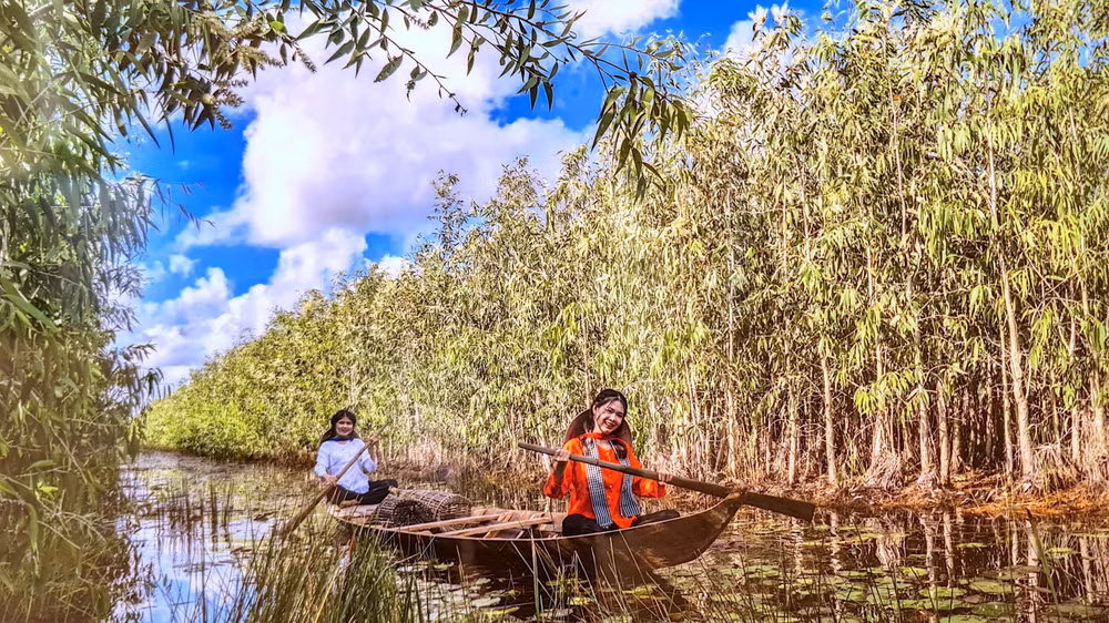 Tiềm năng to lớn về rừng tràm giúp U Minh phát triển mạnh về du lịch sinh thái, du lịch trải nghiệm, du lịch cộng đồng… (ảnh: Huỳnh Lâm) Tiềm năng to lớn về rừng tràm giúp U Minh phát triển mạnh về du lịch sinh thái, du lịch trải nghiệm, du lịch cộng đồng… (ảnh: Huỳnh Lâm)