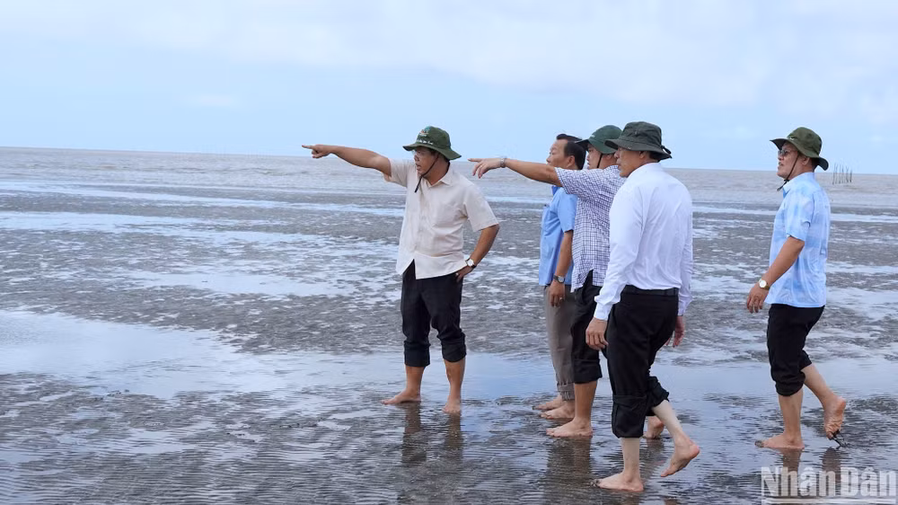 Bí thư Tỉnh ủy Nguyễn Tiến Hải và Chủ tịch Ủy ban nhân dân tỉnh Cà Mau Huỳnh Quốc Việt khảo sát thực tế tại bãi bồi Mũi Cà Mau.