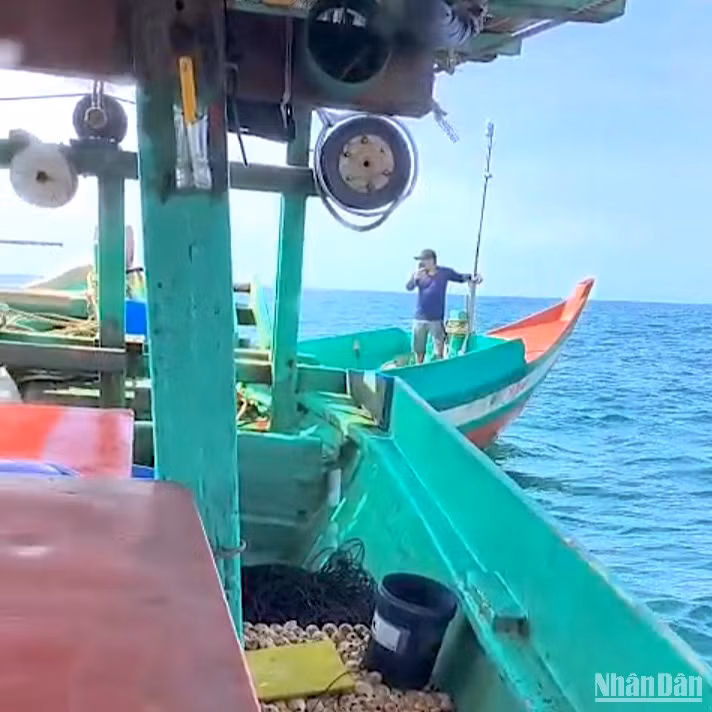 Xử lý nghiêm tình trạng tranh chấp ngư trường trên vùng biển Cà Mau ảnh 1