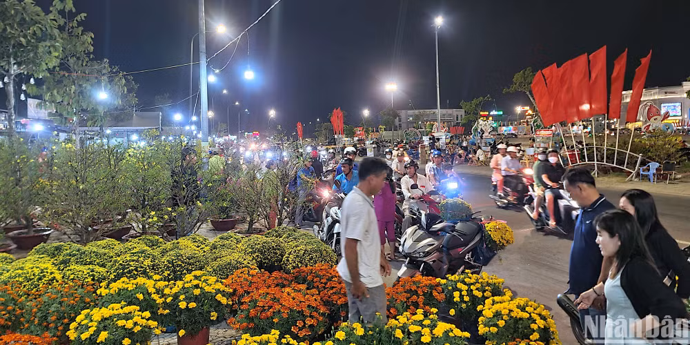 Người dân tấp nập mua sắm tại khu vực bán hoa, cây kiểng (thành phố Cà Mau) vào tối 30 Tết.