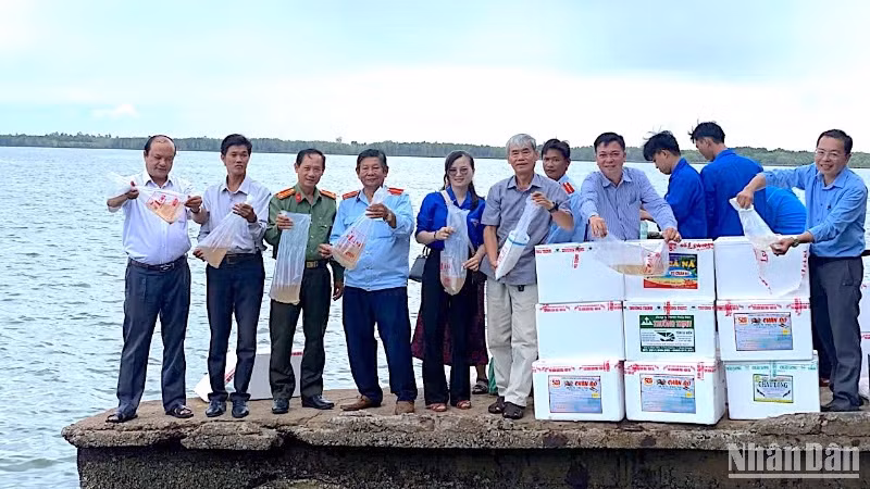 Hoạt động thả giống tái tạo nguồn lợi thủy sản tại Cà Mau vào sáng 1/4.