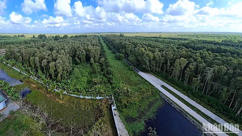 Vườn Quốc gia U Minh hạ có hơn 8.500ha rừng tràm được bảo vệ nghiêm ngặt nhưng hiện đã có hơn 4.800ha cảnh báo cháy cấp 5.