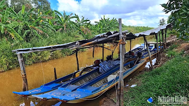 Trang thiết bị phục vụ phòng cháy, chữa cháy rừng mùa khô tại trong tư thế sẵn sàng một tiểu khu thuộc Công ty trách nhiệm hữu hạn một thành viên Lâm nghiệp U Minh Hạ. 