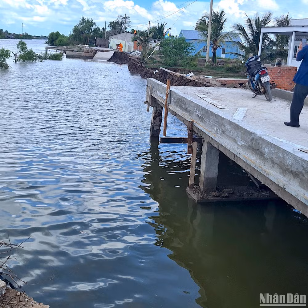 Sạt lở đất ven sông làm hư hỏng đường giao thông nông thôn trên địa bàn xã Quách Phẩm (huyện Đầm Dơi, tỉnh Cà Mau) vào rạng sáng 24/5.