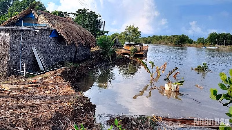 Sạt lở đất làm hư hỏng đường giao thông ở xã Thanh Tùng (huyện Đầm Dơi, tỉnh Cà Mau) vào tối 24/5.