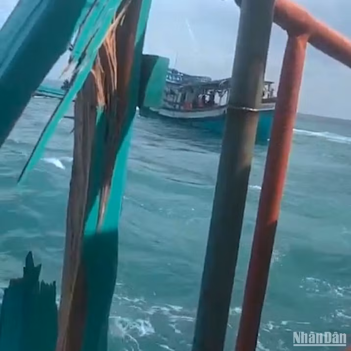 Một tàu cá hành nghề ốc bẫy mực của ngư dân Đá Bạc bị một tàu khác (đối diện) tông ngang hông làm hư hỏng thân tàu.