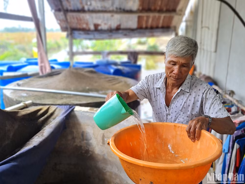 Cư dân vùng nông thôn tỉnh Cà Mau dùng nhiều dụng cụ trữ nước mưa nhưng không đủ nước dùng trong sinh hoạt vào những tháng mùa khô.