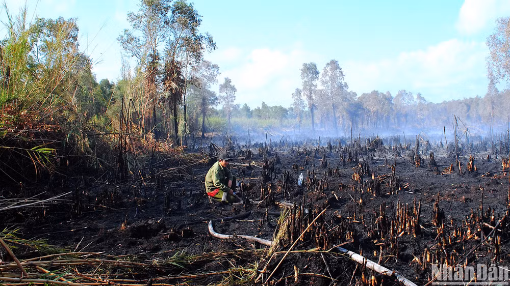 Lực lượng tăng cường tham gia hỗ trợ chữa cháy tại Nông trường 402 phun nước xuống chân rừng phòng cháy ngún, cháy lan.