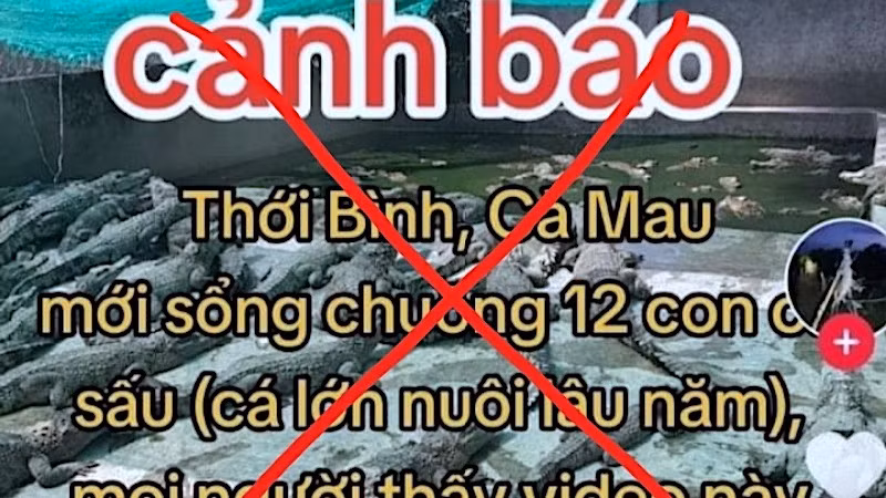 Thông tin cá sấu xổng chuồng lan truyền trên tài khoản facebook T.L được chính quyền huyện Thới Bình khẳng định là thất thiệt, bịa đặt. 