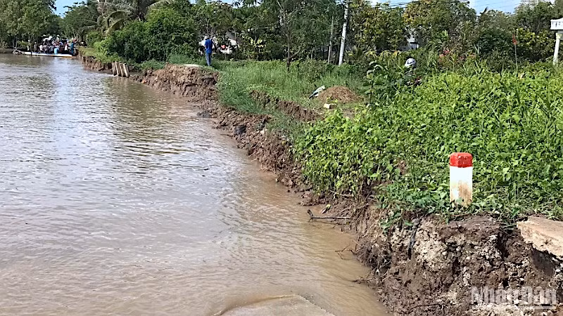 Hiện trường sau vụ sạt lở đất xảy ra trên tuyến đường ô-tô về trung tâm xã Nguyễn Huân, huyện Đầm Dơi, tỉnh Cà Mau.