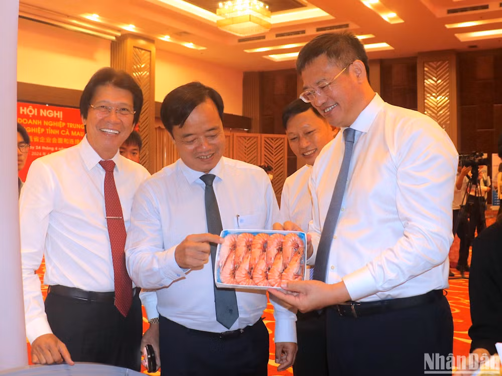 Tổng Lãnh sự Trung Quốc tại Thành phố Hồ Chí Minh Ngụy Hoa Tường (phải) tâm đắc với mặt hàng tôm sú sinh thái xuất khẩu của tỉnh Cà Mau.