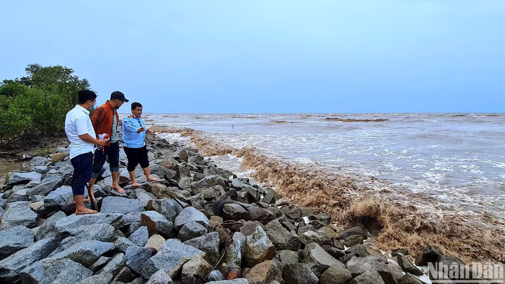 Kè đá khan, một trong nhiều giải pháp hộ đê khẩn cấp ven tuyến biển Tây sẽ được triển khai thực hiện trong mùa mưa bão 2024.