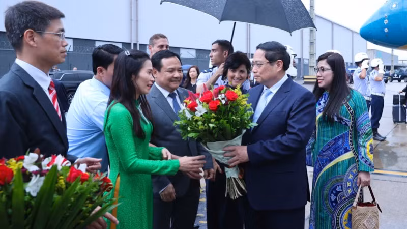 Cán bộ, nhân viên Đại sứ quán Việt Nam tại Brazil đón Thủ tướng Phạm Minh Chính và Phu nhân tại sân bay (Ảnh: Nhật Bắc/VGP).