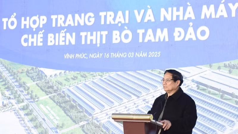 Thủ tướng Phạm Minh Chính phát biểu ý kiến. (Ảnh: TRẦN HẢI)