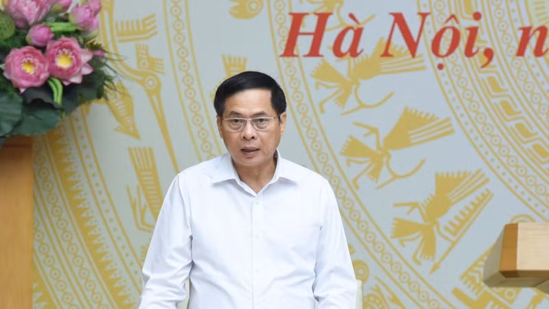 Phó Thủ tướng Chính phủ Bùi Thanh Sơn - Trưởng Ban Chỉ đạo 389 quốc gia phát biểu ý kiến tại cuộc họp. (Ảnh: TRẦN HẢI)