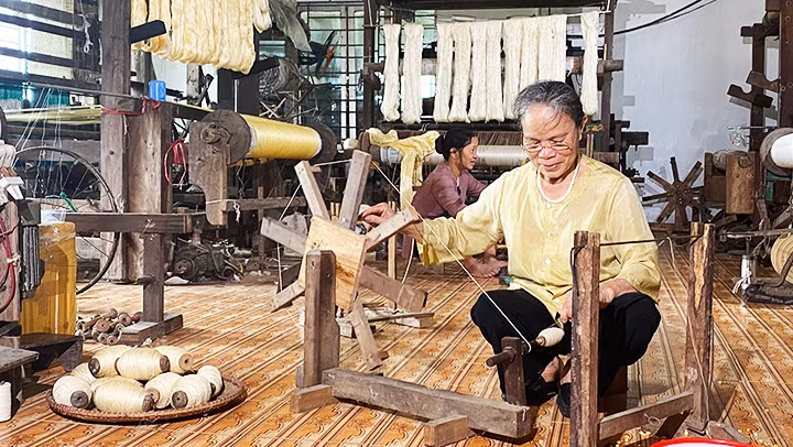 Se sợi tơ sen.