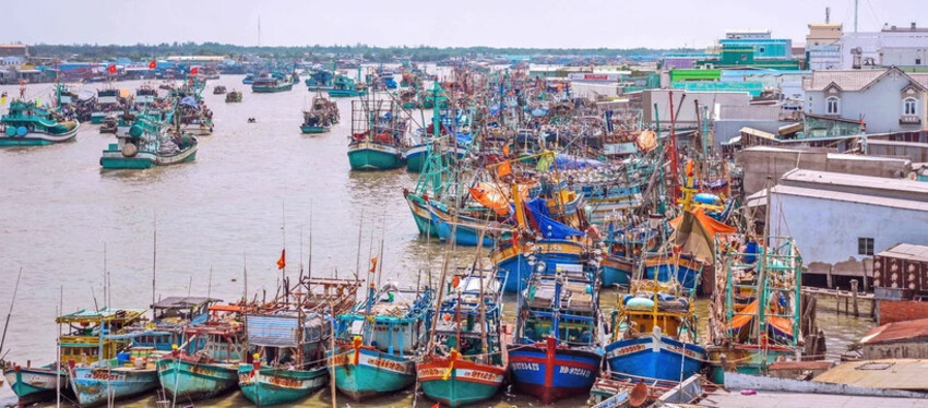 Tàu thuyền đánh bắt xa bờ tại Cà Mau. (Ảnh TTXVN)