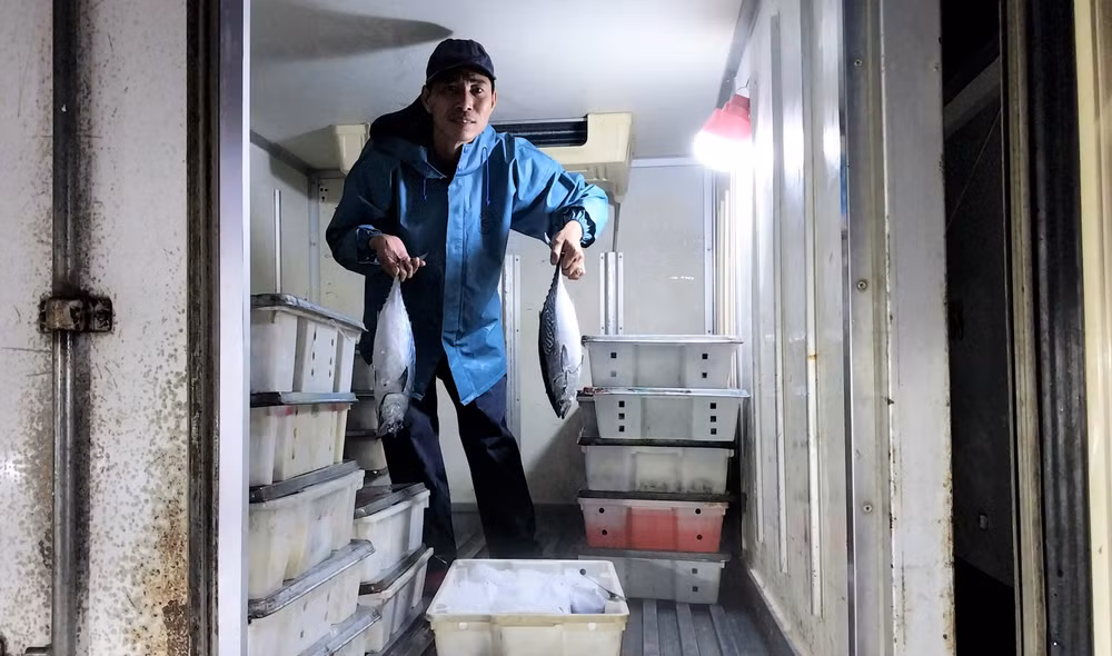 Từ đây, hải sản được vận chuyển đến các địa phương khác, đáp ứng nhu cầu thực phẩm cho người dân ở các thành thị, nông thôn và cả vùng núi cao.