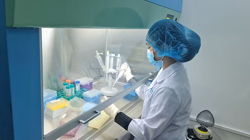 Phân tích trình tự ADN hài cốt liệt sĩ tại Trung tâm Giám định ADN.