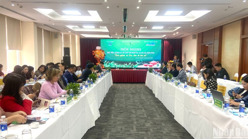 Các đại biểu tham dự hội nghị. Các đại biểu tham dự hội nghị.