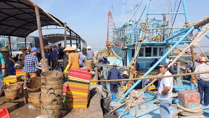 Tỉnh Bến Tre tập trung quản lý chặt chẽ tàu cá hoạt động khai thác hải sản trên biển.