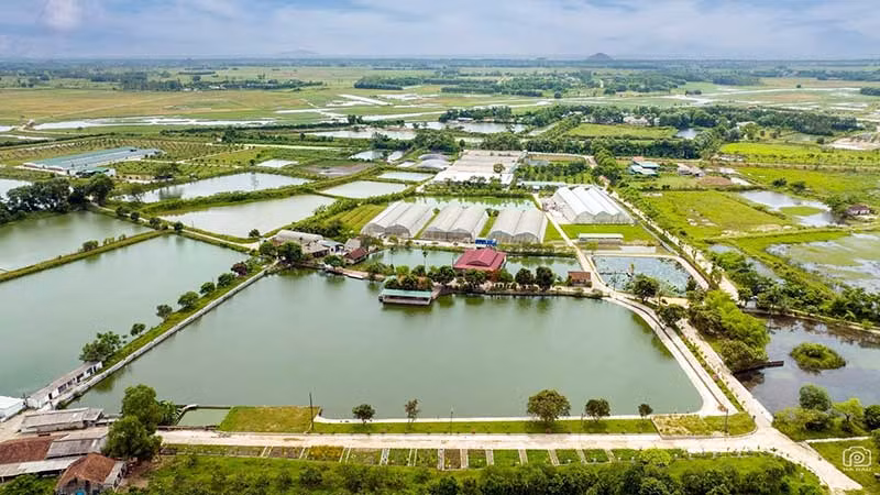 Trang trại sản xuất nông nghiệp tổng hợp của Hợp tác xã Nga Hải, huyện Nghi Xuân, tỉnh Hà Tĩnh. (Ảnh ĐẬU HÀ)