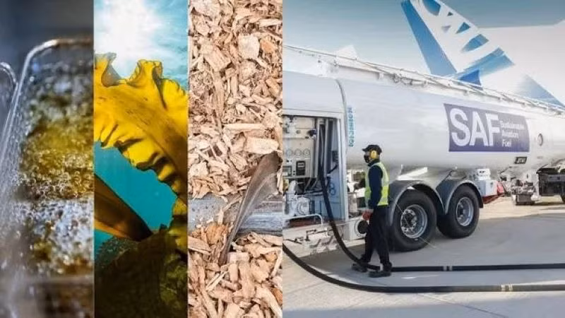 SAF là cơ hội lớn nhất để ngành hàng không cắt giảm khí thải trong vòng 30 năm tới.