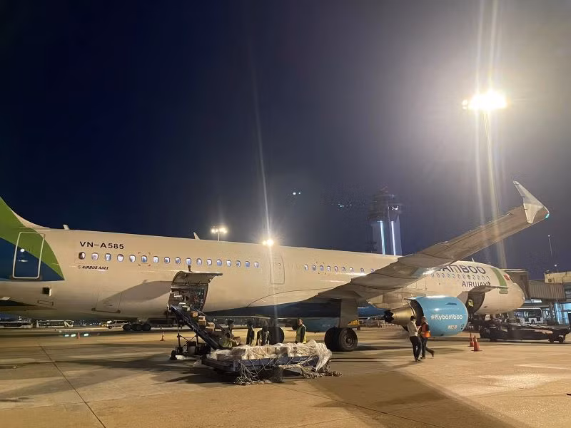 Các chuyến bay QH278 (khởi hành lúc 20 giờ 35 phút) và QH286 (khởi hành lúc 22 giờ 20 phút) tại Thành phố Hồ Chí Minh, sau khi hạ cánh tại sân bay Nội Bài đã được đại diện Bamboo Airways đón hàng, bàn giao cho đại diện VACIP tại Hà Nội.