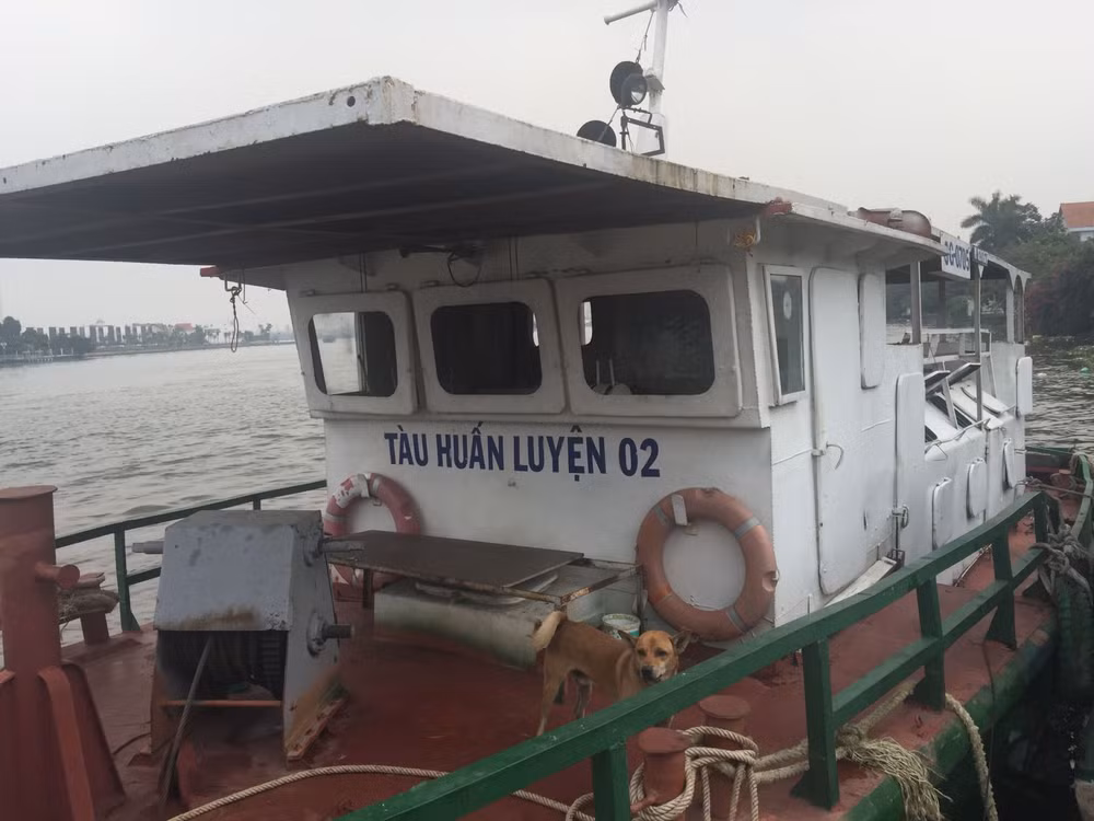 Phương tiện thủy phục vụ huấn luyện, đào tạo chuyên môn thuyền viên, người lái.