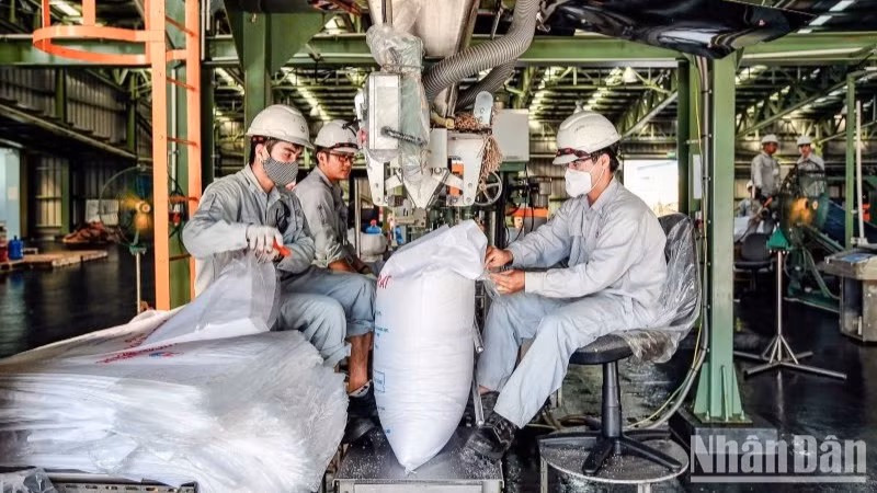 Các đơn vị thành viên TKV đóng gói sản phẩm Alumina đưa đi tiêu thụ.