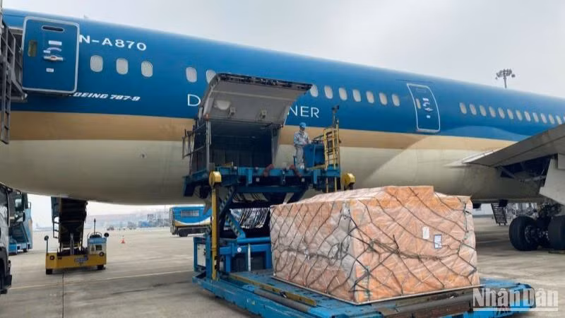 Hãng hàng không Vietnam Airlines vừa vận chuyển gần 30 tấn hàng hóa cứu trợ sang Myanmar nhằm giúp đỡ nước bạn vượt qua thảm họa động đất.