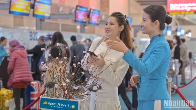 Vietnam Airlines Group cung ứng thêm hơn 650.000 ghế, tương đương hơn 3.000 chuyến bay trên các chặng bay nội địa Việt Nam trong dịp Tết Nguyên đán.