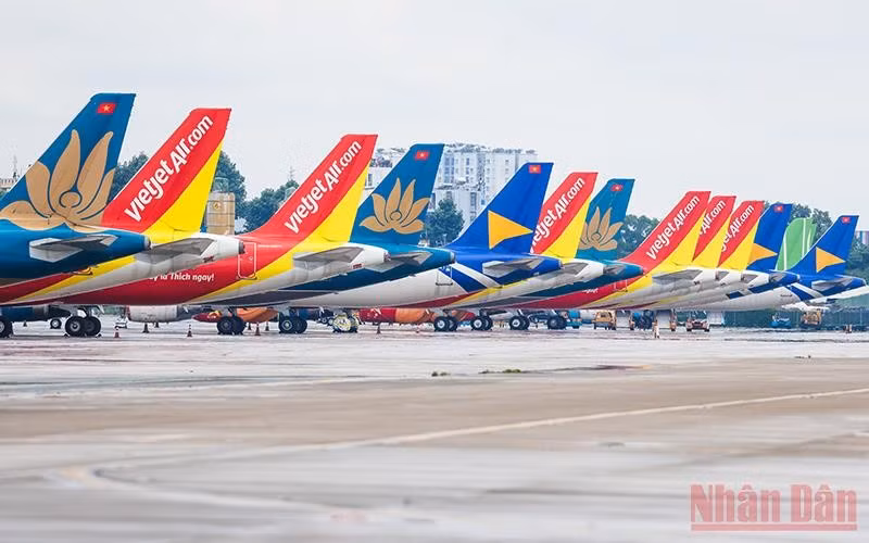 Thị trường vận chuyển hàng không nội địa nước ta có 5 hãng hàng không tham gia, vẫn có doanh nghiệp chiếm thị phần hơn 30%, giữ vị trí thống lĩnh thị trường. Thị trường vận chuyển hàng không nội địa nước ta có 5 hãng hàng không tham gia, vẫn có doanh nghiệp chiếm thị phần hơn 30%, giữ vị trí thống lĩnh thị trường.