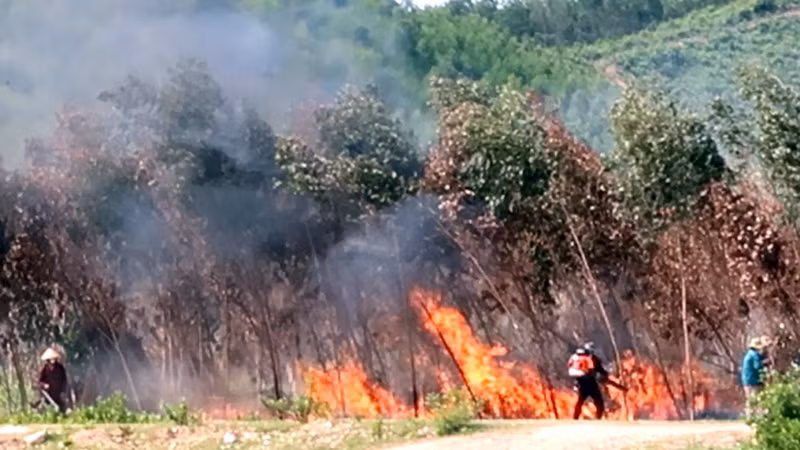 Diễn tập PCCCR tại huyện miền núi Đồng Xuân.